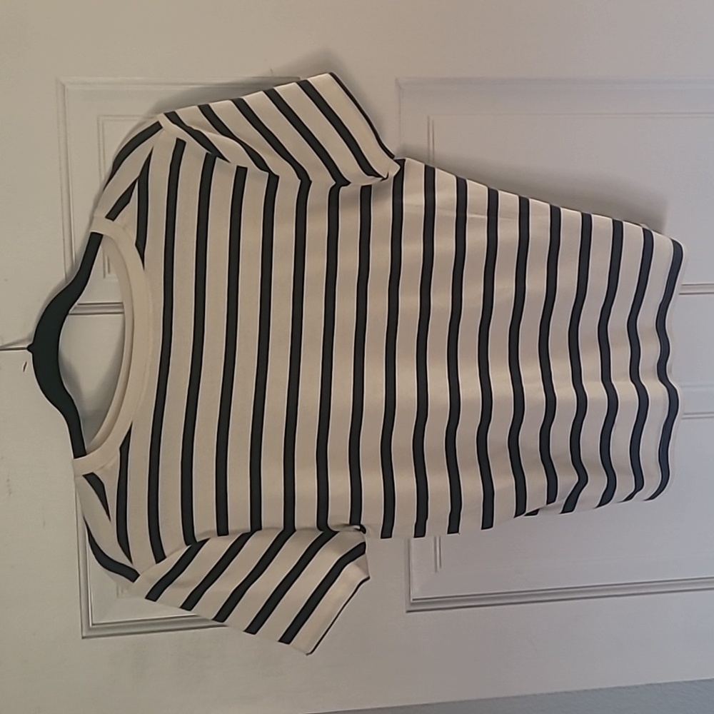 Adriano Goldschmied cropped tee